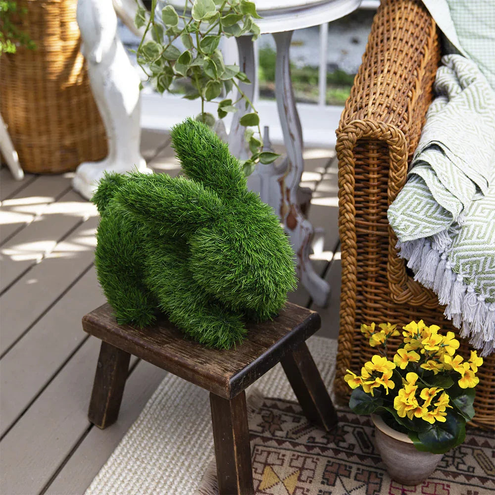 14 Lapin de jardin