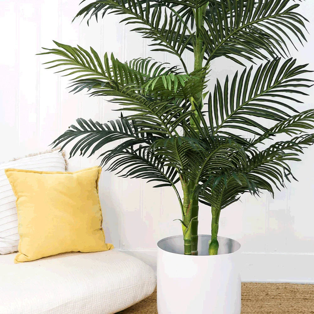 Palmier Suncrest de 6,5 pieds
