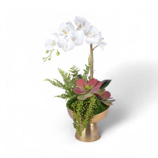 Arrangement de nuit
